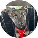 Dr. Darren Anderson profile picture