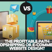 Dropshipping or E-commerce Website Design