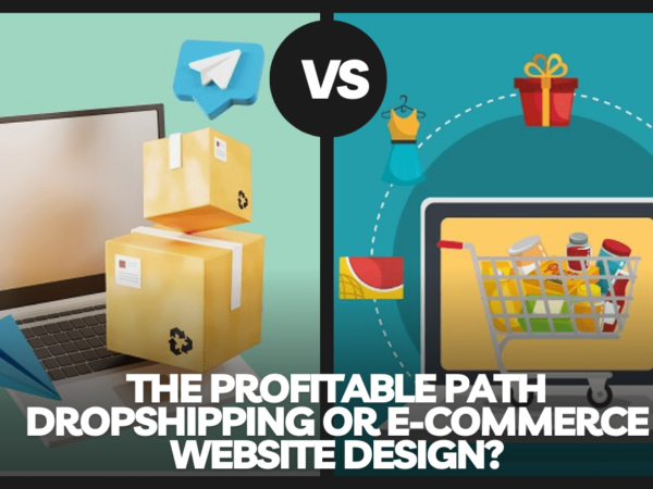 The Profitable Path: Dropshipping or E-commerce Website Design?